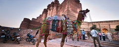 Jodhpur