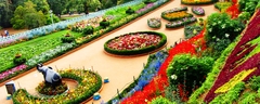 Ooty