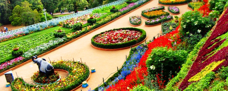Ooty